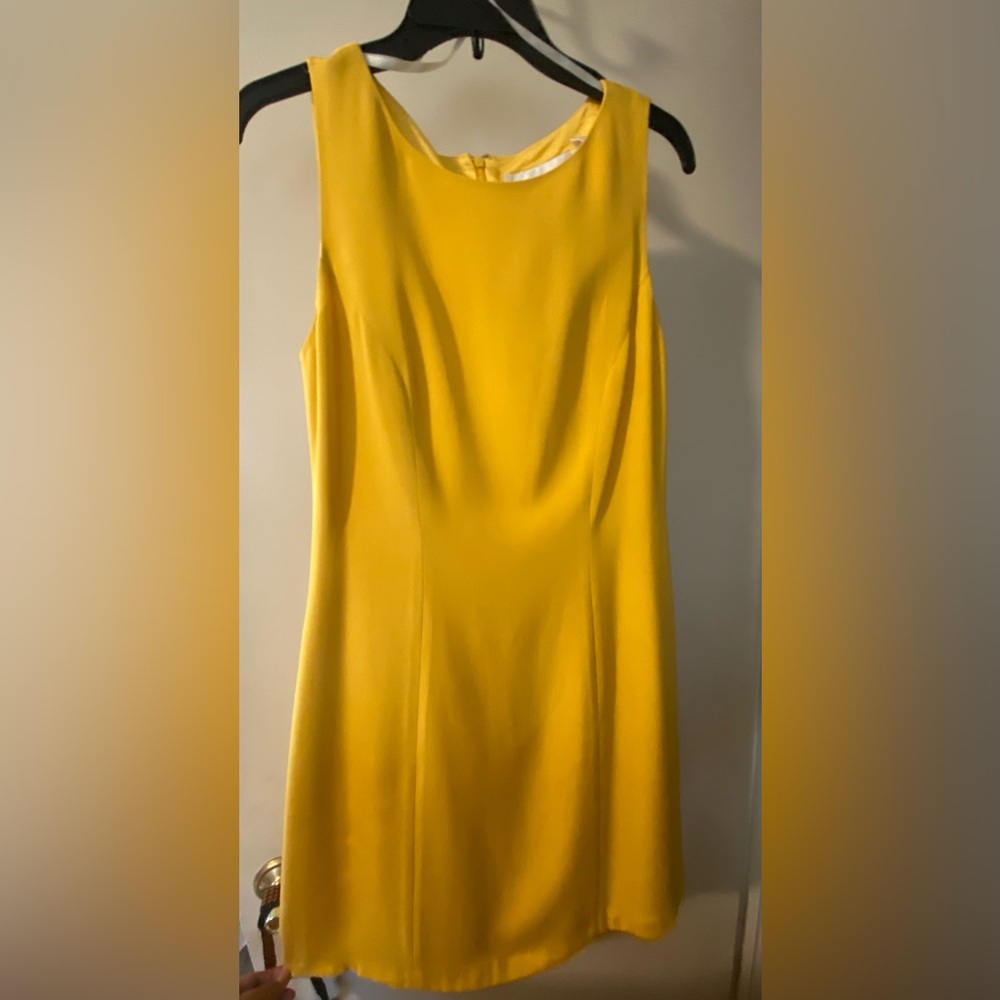 New Vintage Hugo Buscati Collection with tags